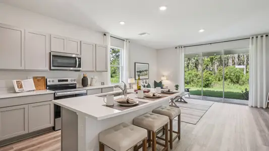 Meadow Ridge at Epperson by D.R. Horton in Wesley Chapel - image 7