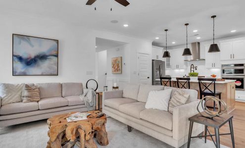 Colleton Park by Eastwood Homes in Aiken - image 5