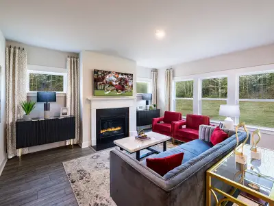 Chestnut Grove by Meritage Homes in Greer - image