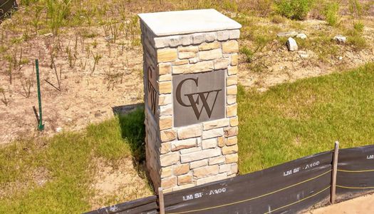 Carrington Walk by Stephen Elliott Homes in Powder Springs - image 14