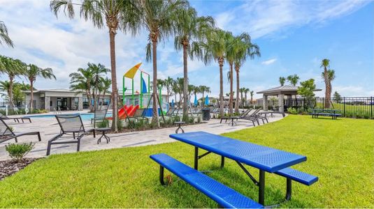 Trinity Lakes - Master planned community in Groveland, FL 8 8