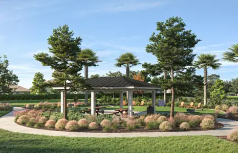 Riverwood by Pulte Homes in Zephyrhills - image 3