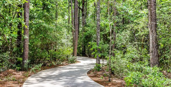 Spring Branch Crossing by Lennar in Conroe - photo 3 3