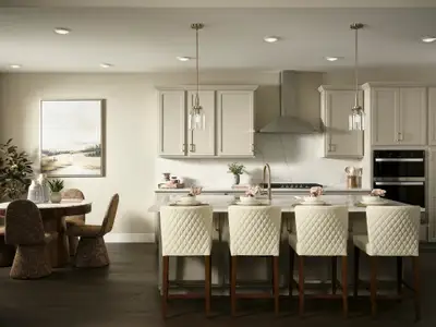 Barefoot by Brookfield Residential in Firestone - image 3