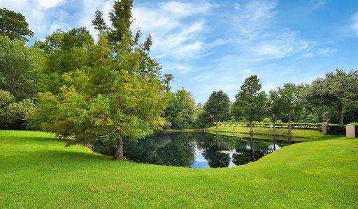 Pond at Forest Crest