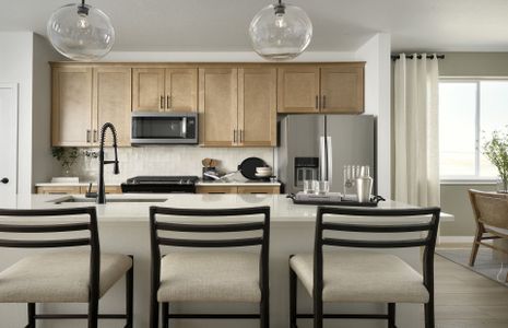 Painted Prairie by Pulte Homes in Aurora - photo 17 17