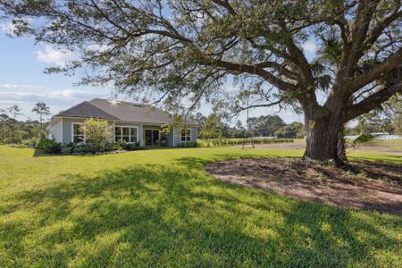 Katie Cove by SEDA New Homes in Jacksonville - image 4