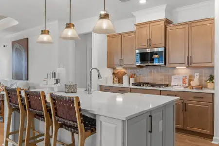 Traditions at Carolina Forest by Chesapeake Homes in Myrtle Beach - image 6