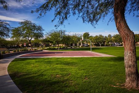 Verrado Highlands - Signature Series by David Weekley Homes in Buckeye - photo 4 4