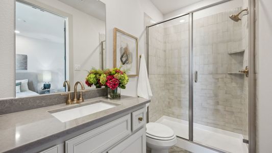 Painted Tree - Woodland West by Normandy Homes in McKinney - image 11