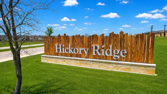 Hickory Ridge by D.R. Horton in Elmendorf - image
