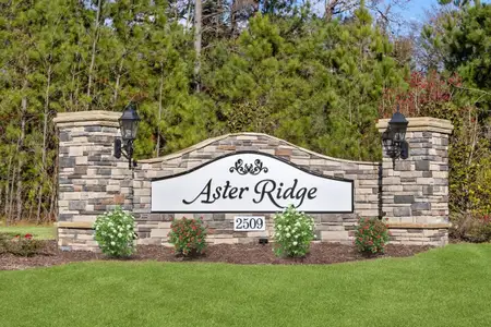 Aster Ridge by KB Home in Durham - photo 10 10