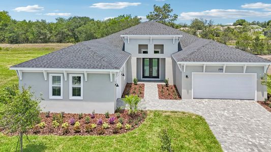 Serengeti by DRB Homes in Spring Hill - image 14