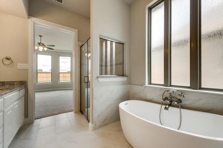 Llano Springs by Megatel Homes in Fort Worth - photo 8 8