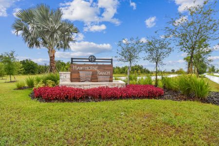 Hawthorne Ranch by M/I Homes in Lakeland - photo 9 9