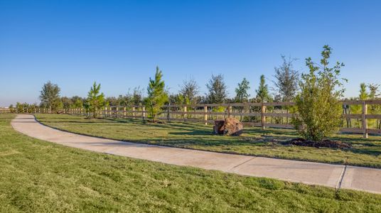 Anniston: Avante Collection 37