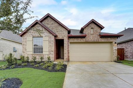 Meridiana 45' Homesites by David Weekley Homes in Manvel - photo 25 25