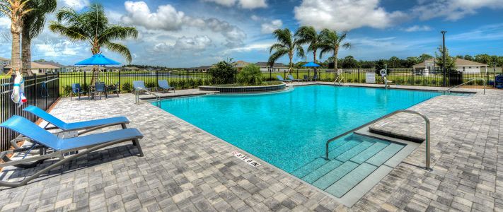 Woodhaven by ICI Homes in Port Orange - photo 11 11