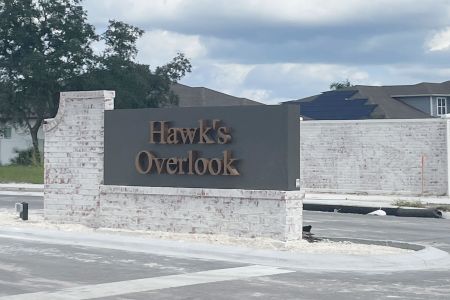 Hawks Overlook by M/I Homes in Oviedo - photo 2 2