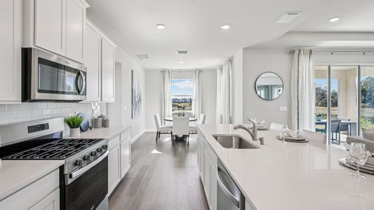 Archer at Two Rivers by D.R. Horton in Zephyrhills - image 8