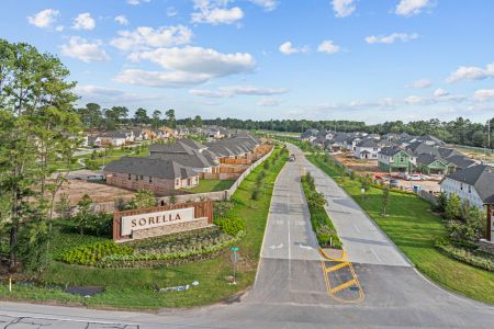 Sorella by M/I Homes in Tomball - photo 7 7