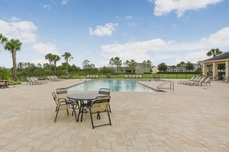 Westgate at Avalon Park by D.R. Horton in Wesley Chapel - photo 5 5