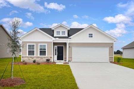 Rich Square by Mungo Homes in Ash - image