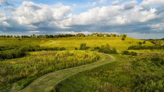 Pine Ridge at Sugarloaf Mountain by Tri Pointe Homes in Minneola - image
