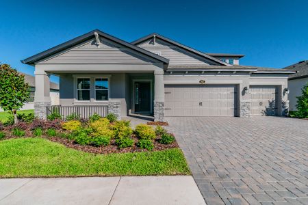 Oakstead Estates by M/I Homes in Land O' Lakes - photo 13 13