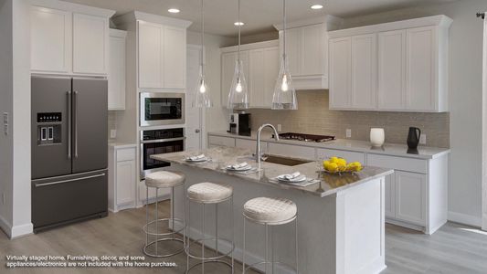 Stevens Ranch 55' by Perry Homes in San Antonio - image 4