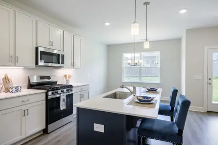 Holly Ridge by Cothran Homes in Greenville - image 20