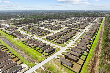 Pinewood at Grand Texas by M/I Homes in New Caney - photo 41 41