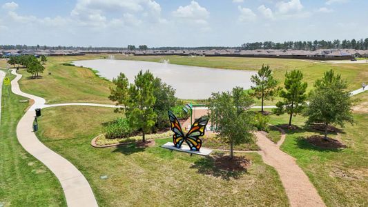 Harrington Trails at The Canopies by D.R. Horton in New Caney - photo 11 11