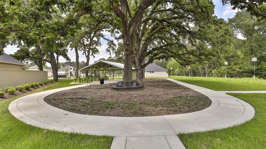 Audubon 60' by Perry Homes in Magnolia - photo 25 25