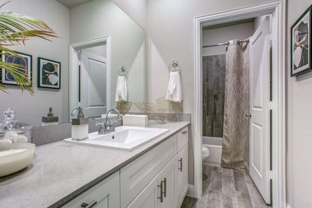 Windmill Farms by Megatel Homes in Forney - photo 17 17