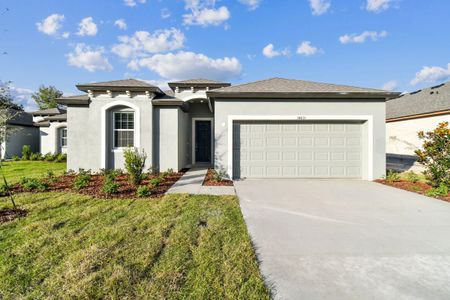 Lanier Acres by William Ryan Homes in Zephyrhills - photo 7 7