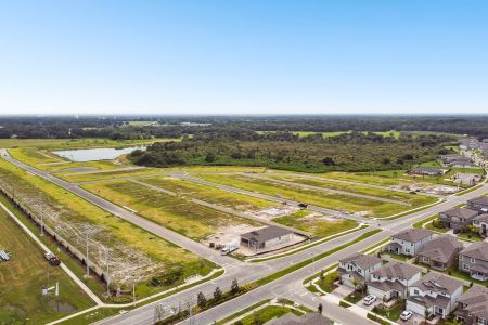 Cobblestone by M/I Homes in Zephyrhills - photo 48 48