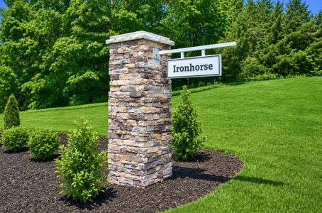 Ironhorse by Smith Douglas Homes in Dickson - image