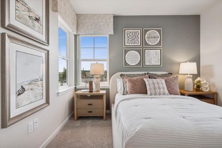 Windler by Century Communities in Aurora - image 7