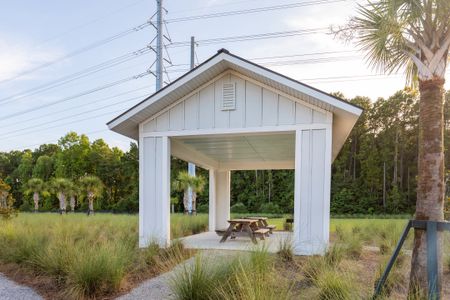 Oak Bluff by Dream Finders Homes in Charleston - photo 6 6