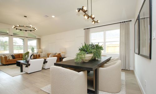 The Woodlands Hills by Brightland Homes in Willis - photo 13 13