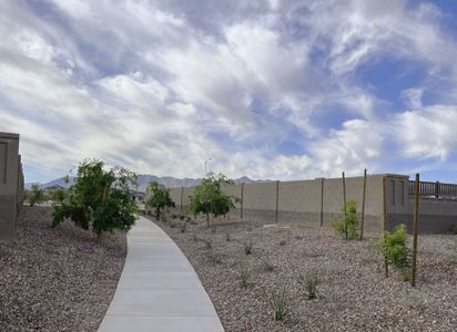 Estrella Crossing by Ashton Woods in Phoenix - photo 6 6