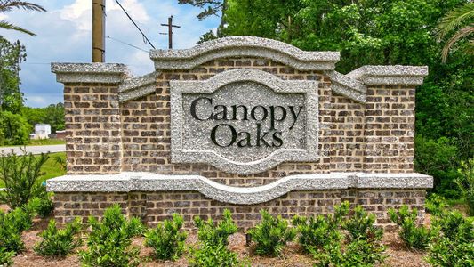 Canopy Oaks by D.R. Horton in Kingsland - image
