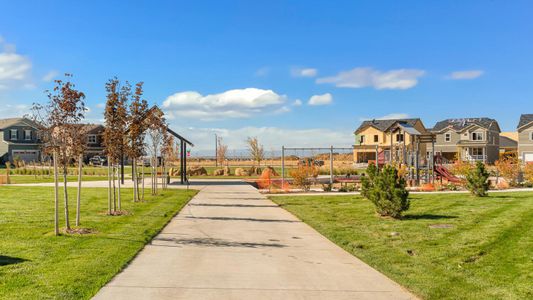 Sky Ranch by D.R. Horton in Watkins - image 5