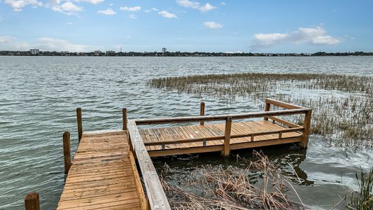 Harmony at Lake Eloise by Casa Fresca Homes in Winter Haven - photo 8 8