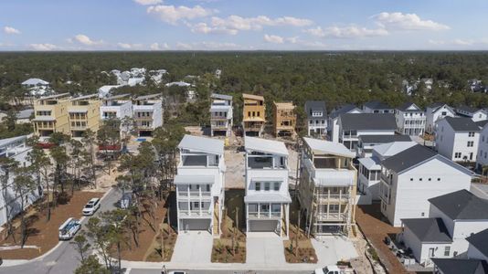 Twin Palms by Brock Built in Inlet Beach - image 12