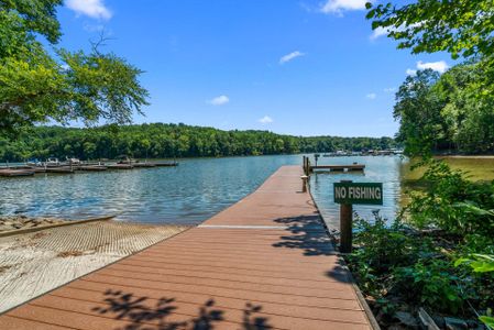 Waterfront at The Vineyards on Lake Wylie by Keystone Custom Homes in Charlotte - photo 16 16