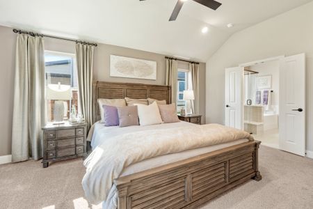 Creekview Meadows by Bloomfield Homes in Pilot Point - image 6