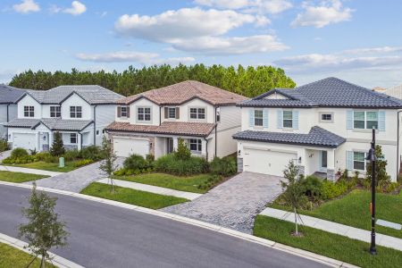 Shortgrass at Two Rivers by M/I Homes in Zephyrhills - image 13