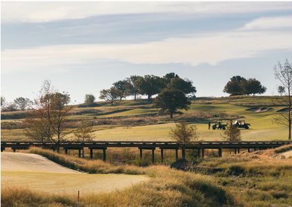 Fields - 50' Lots by Shaddock Homes in Frisco - photo 7 7